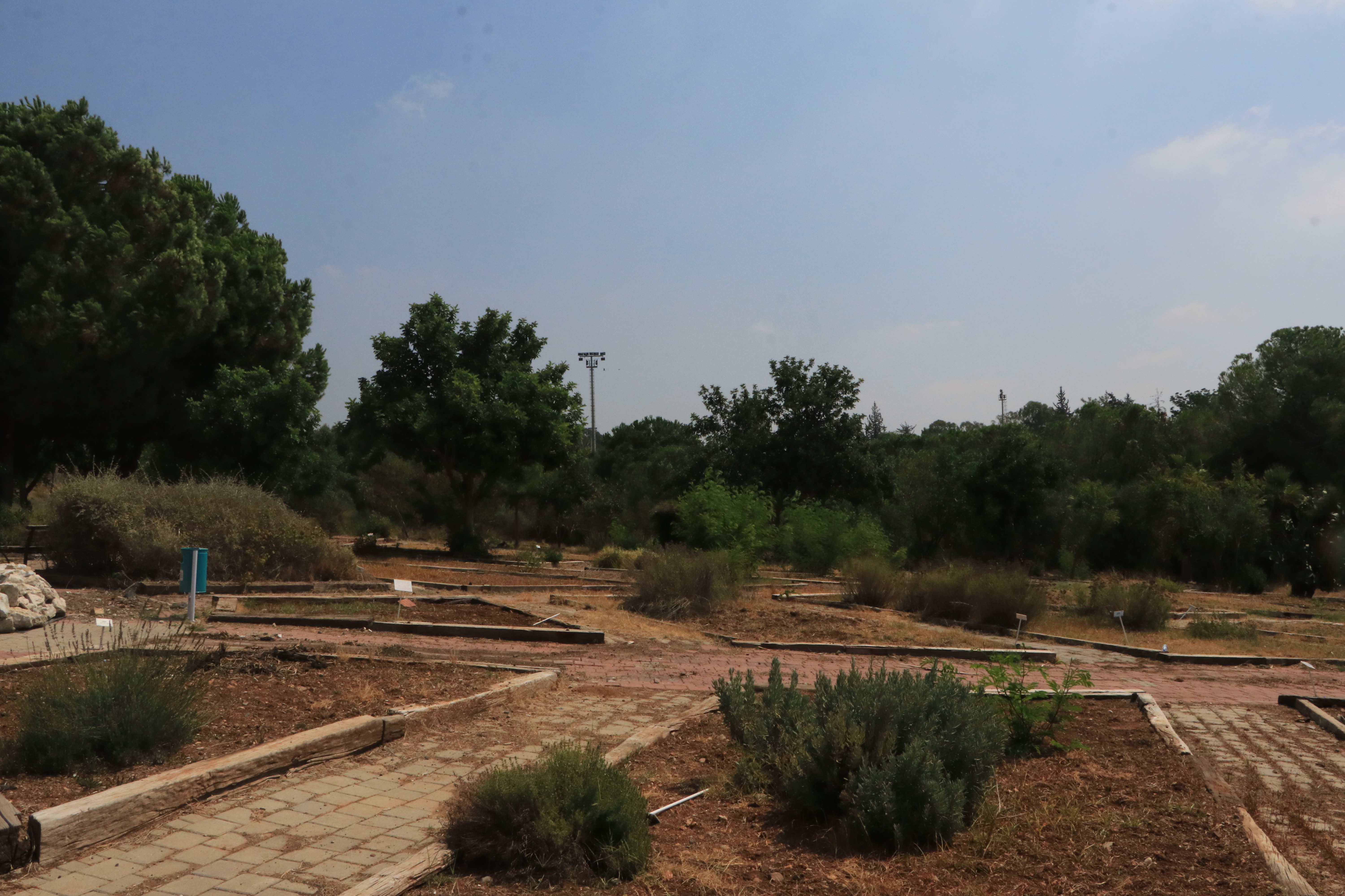 aw773992-07.jpg