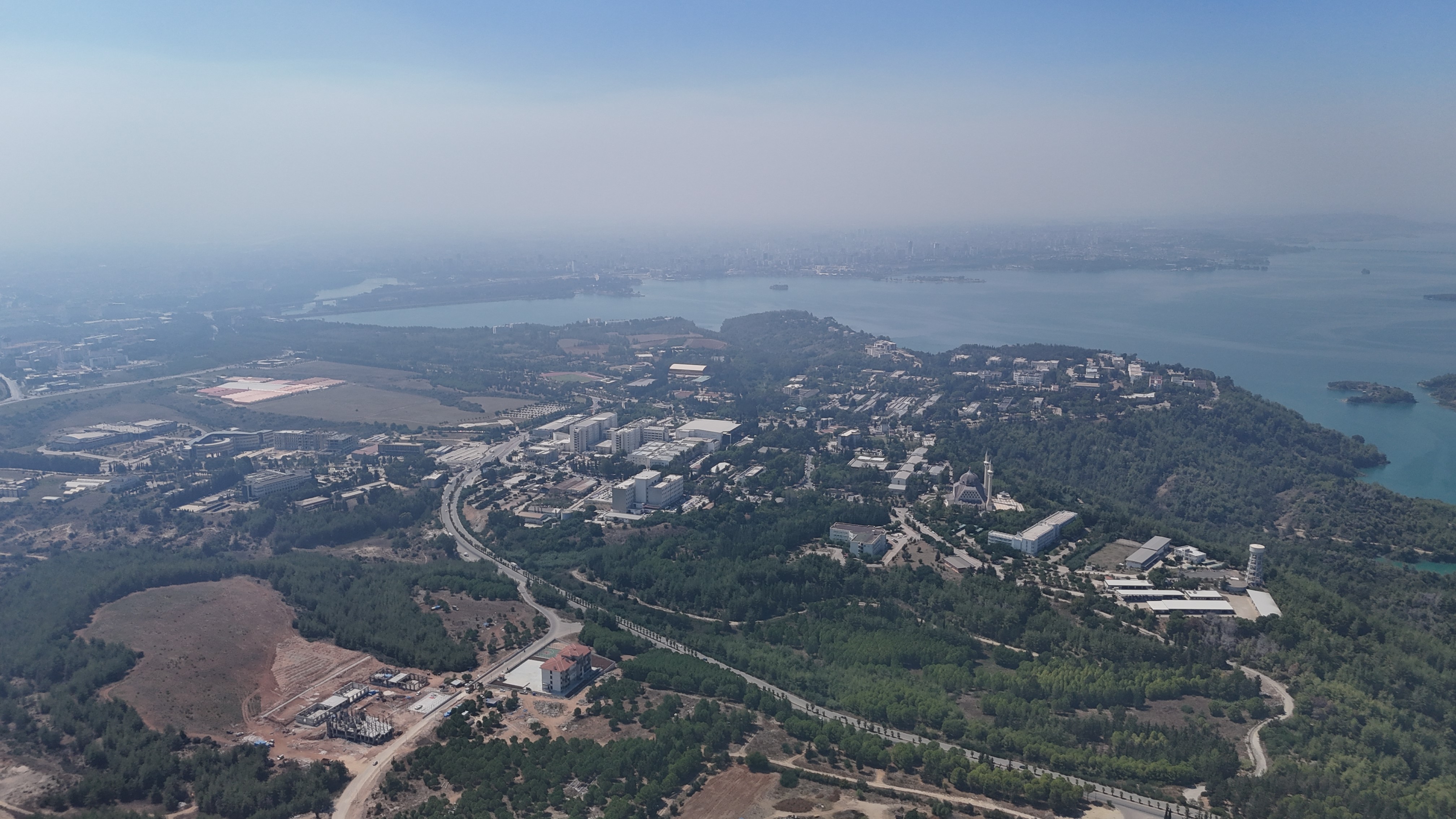 aw785270-01.jpg