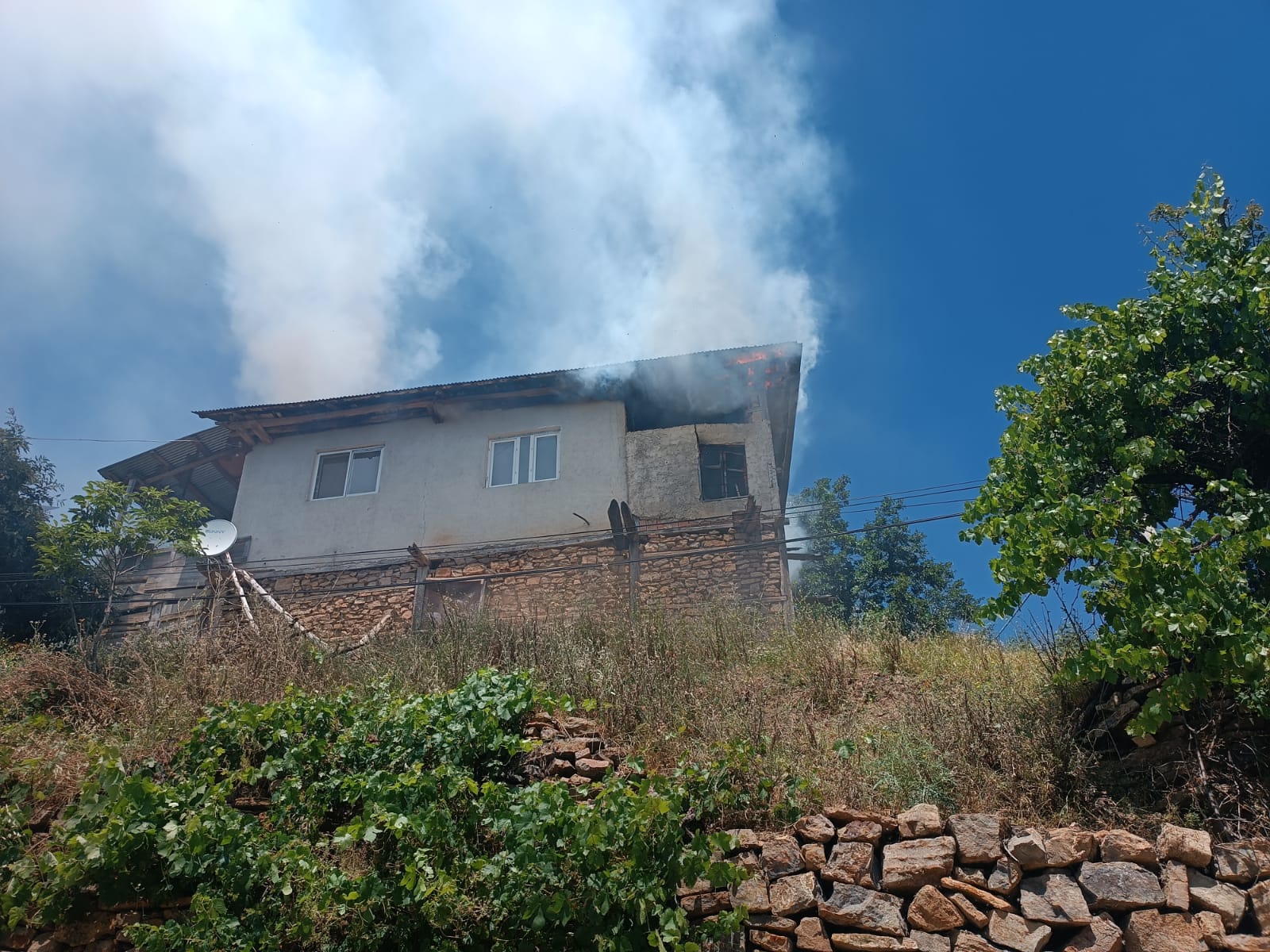 fekede-ev-yandi-1385811-411556.jpg