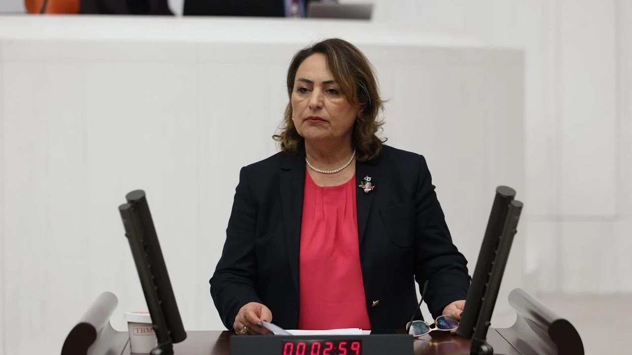 msevkingenelkurul2.webp