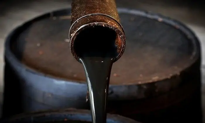 petrol-nedir-gelgez-700x420-jpg-dtba.webp
